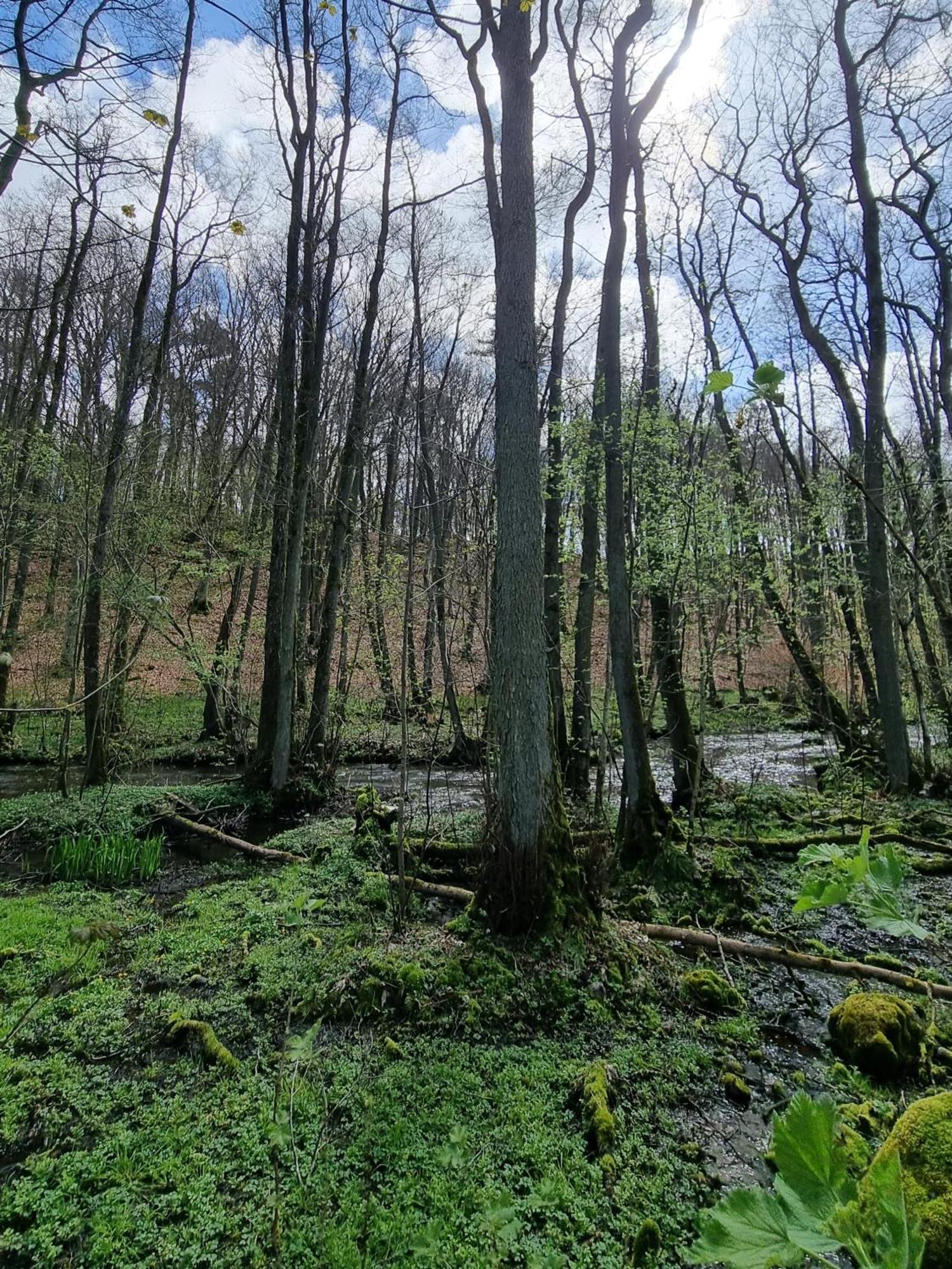 Domki Nad Morzem Lublewo21 Obok Bialogory Lublewo Leborskie エクステリア 写真